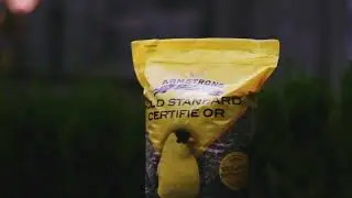 Armstrong Bird Food Gold Standard Wild Bird Seed