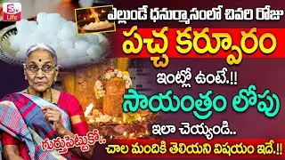 పచ్చ కర్పూరం గురించి 99 మందికి తెలియని రహస్యాలు | Anantha Lakshmi About Pacha Karpuram |SumanTV Life
