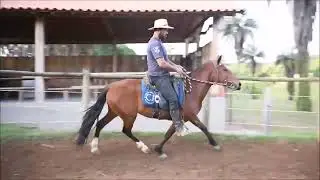 LOTE 12 QUILHA DA PONTE NOVA