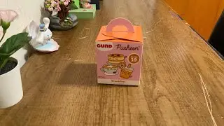 Opening a Pusheen surprise plush !