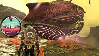#nomanssky Exhibición de Naves y Mascotas. Viajero SuprMushroom, la leyenda #gameshow #showtime