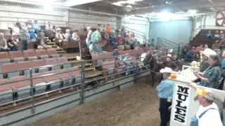 Reese Bros Oct 2017 Mule Sale