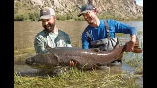 OnePath: The Race to Save Mongolia's Giant Salmonids