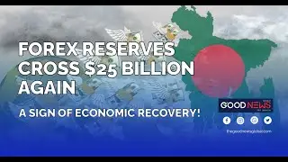 Forex Reserves Cross $25 Billion Again &ndash; A Sign of Economic Recovery!