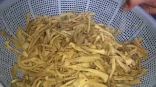 乾燥メンマの戻し方をメンマ屋タケマンの吉野が教えます！