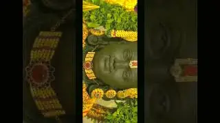 Ayodhya Awakens: Witnessing Shri Ram Janmabhoomi's Glory