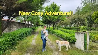 Our First Dog Vlog| Cozy Life Begins With Picco the Puppy
