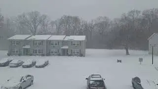 Snow falling and blowing in the wind 