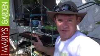 Micro Farm Tour at Martys Garden Australia