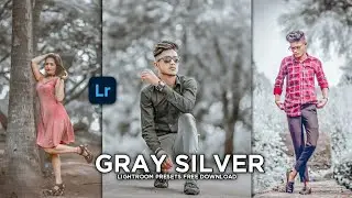 Gray Silver Tone Lightroom Dng & Xmp Presets | Lightroom Presets Free  | Lr Presets