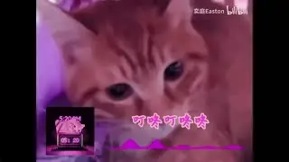 【全弹幕补档】我在5：20哈气，13：14准时激