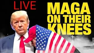 Trump, MAGA, and full-on political madness.
