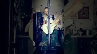 Freedom by QFX Acoustic loop cover
