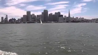 SF Skyline