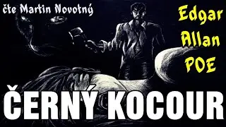Načteno - Černý kocour (Edgar Allan Poe) CZ