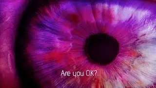 THE NEW SHINING - Are You OK? (Official Lyric Video)