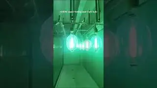 4000W squid fishing boat light bulb