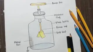 Gold Leaf Electroscope | Science Experiment Diagram Of Gold Leaf Electroscope