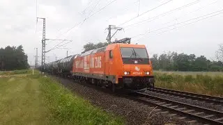 Bunter Zugvehrkehr bei Wurzen mit Makros und auch genügend Diesel!