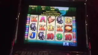 Wild Goose slot bonus 15 free spins with retrigger.