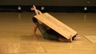 plywood duet clip