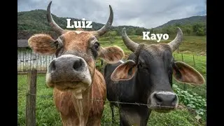 Fivem Highlights Kayox e Luiz #17👻(100% Bahamas Roleplay) 