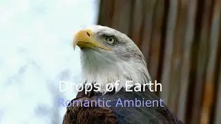 КАПЛИ ЗЕМЛИ! Романтическая эмбиент видео компиляция 🌏 DROPS OF EARTH! Romantic Ambient Music Video