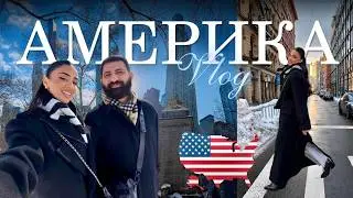 Американский VLOG🇺🇸 Проиграли всё в Казино Лас-Вегаса! Гастроли в Нью-Йорке🎙️ Маями🌴