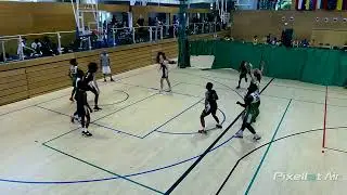 Cobras be True vision 23