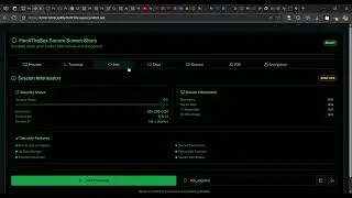 HackTheBox P2P Chat With Screen Recording Demo