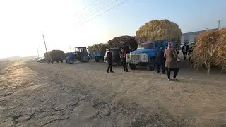 БАЛИК КОВУН ВА ЕМ ХАШАК НАРХЛАРИ ЭЛЛИККАЛА БУСТОН