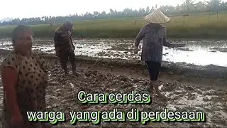 Cara cerdas warga ada di perdesaan bersemai menggemburkan tanah  @alfatirardiansah8229