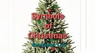 Symbols of Christmas: Evergreen Tree