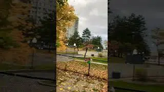 #fallseason #youtubeshorts #shayari #beautifulcanada