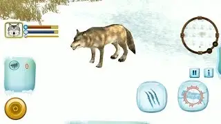 Ultimate Arctic Wolf Simulator Android GamePlay HD