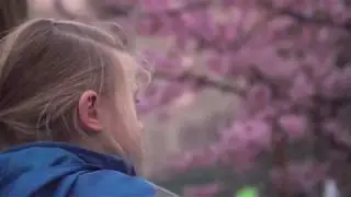 Tokyo Early Sakura 2020 (桜　花見) Первая Сакура 4K