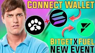 Paws app connect solana wallet | Bitget x fuel new event ( Get Fuel Token ) | Esc GamerYT.