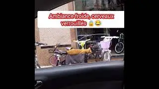 Quand le sourire est en cong&eacute; 😅 #humour#mentalit&eacute;#gensfroide#fyp#dz