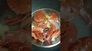#steamcrab#
