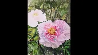Pink Tree Peonies SEGMENT 5