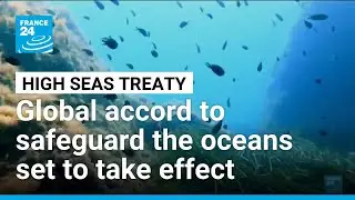 Key oceans treaty crosses threshold to come into force &bull; FRANCE 24 English