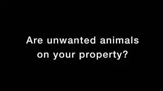 Fast & Efficient Animal Removal