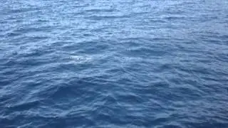 MOV07497