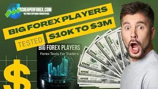 Big Forex Players EA - $10K to $3M in 9 months!