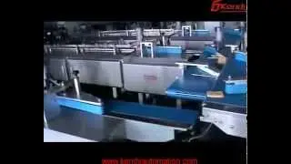 Automatic Flow Wrapping Line for Soft Waffle