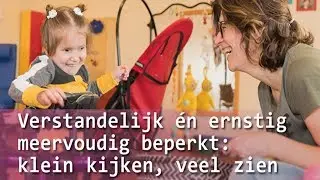 Congres Verstandelijk &eacute;n ernstig meervoudig beperkt: klein kijken, veel zien