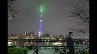 Sumida Park Cherry Blossom Festival 2024 (6k super high vision format version )