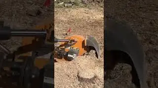 Kubota L2501 and Woods TSG 50 stump grinder