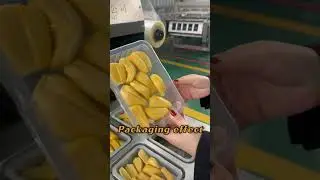 Modified atmosphere packaging machine