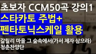 베이스기타 오픈강의(84) 초보자 CCM50곡 악보집 연주 설명1 가서 제자 삼으라(갈릴리 마을 그 숲속에서)